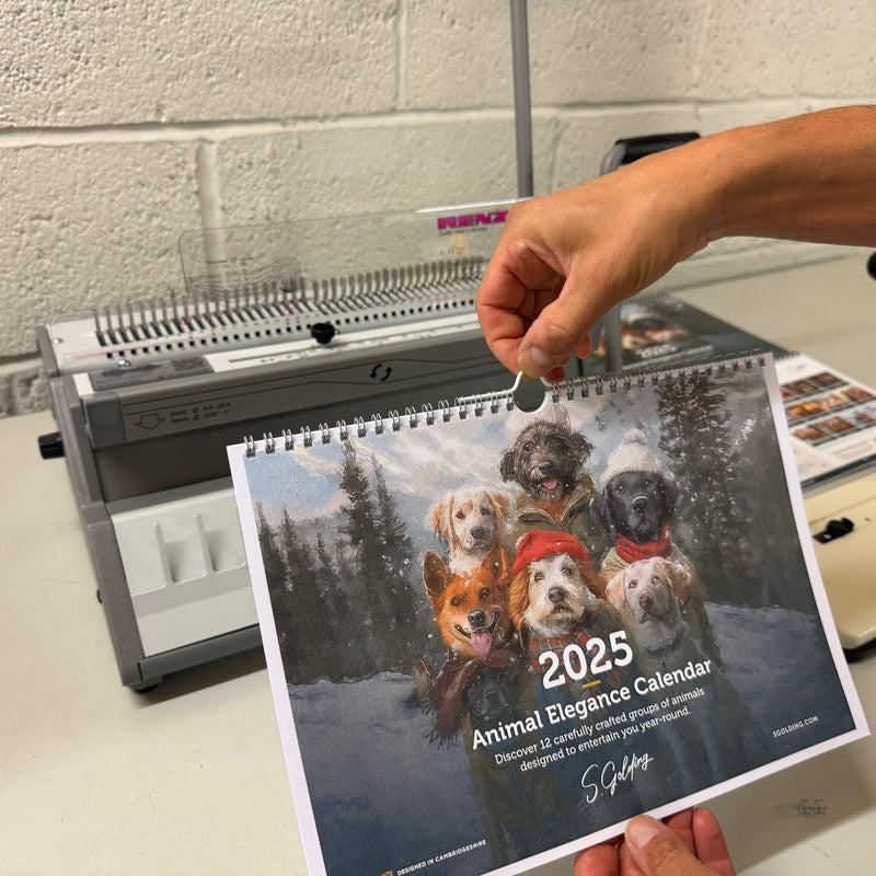 Load image into Gallery viewer, Renz SRW-360 Wire Binder &amp; PCAL Thumbcut Punch Calendar Binding Package
